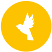 Amera-logo-birds